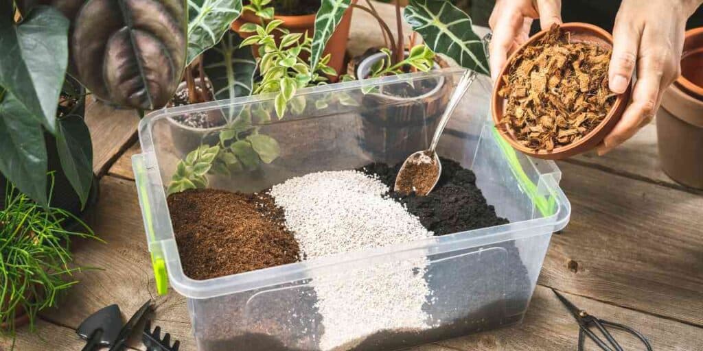 Easy Soil Mix for Herbs