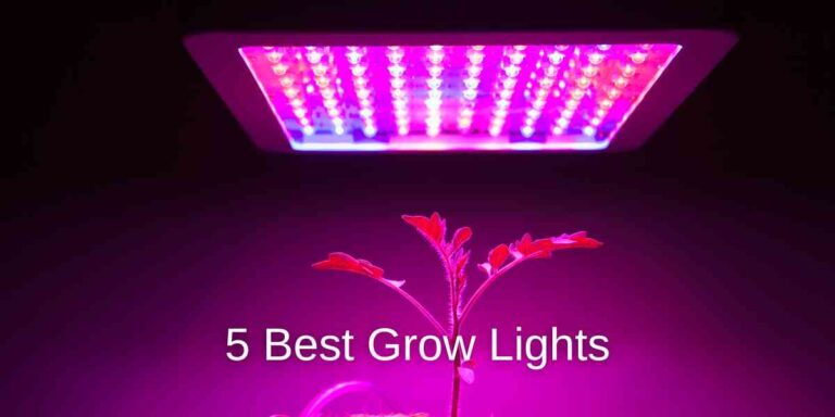 Best Grow Lights for herbs