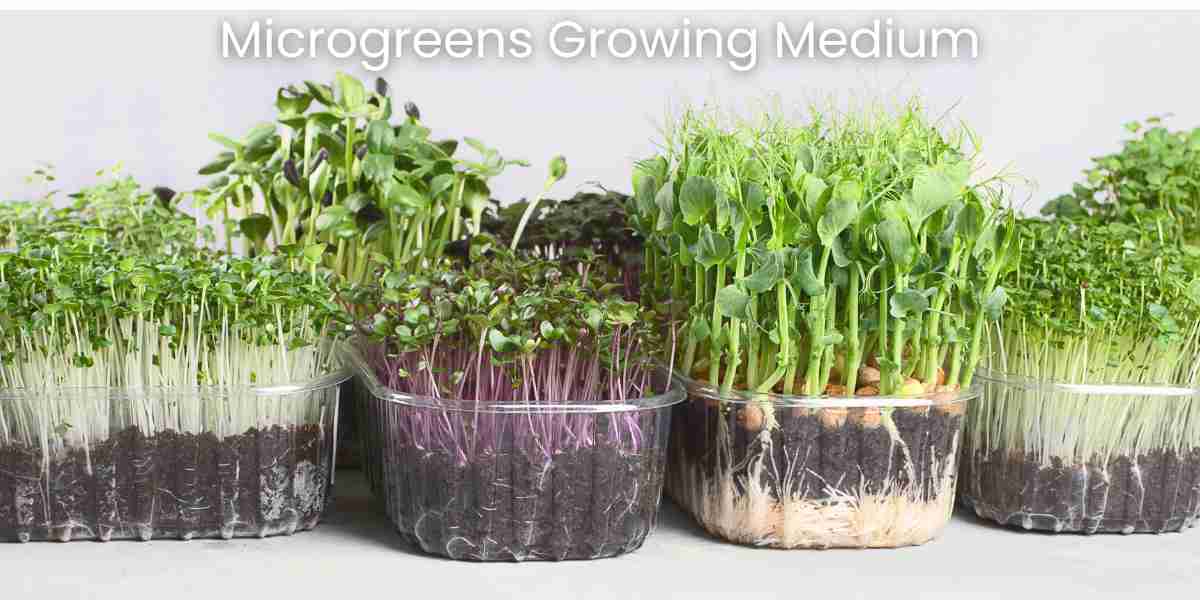 Microgreens Growing Medium
