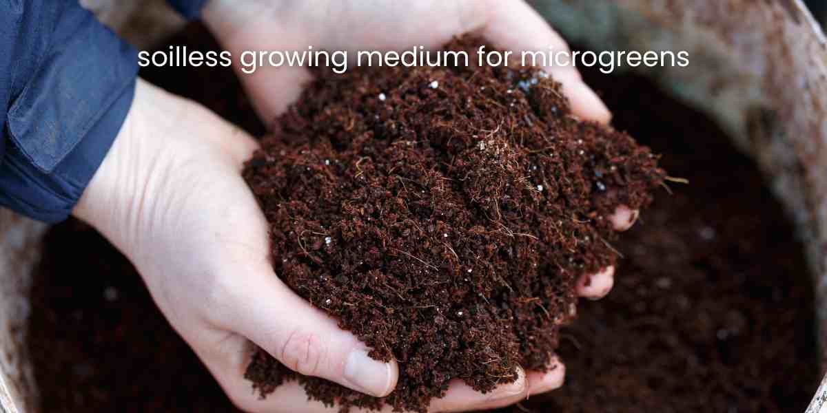 soilless growing medium for microgreens